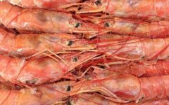 阿根廷红虾多少钱一斤？
