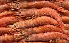 阿根廷红虾是什么虾？