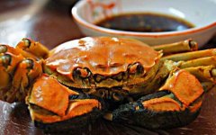 第一个吃螃蟹的人是什么意思？