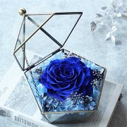 蓝玫瑰的花语代表什么意思？一般用于送给什么人？