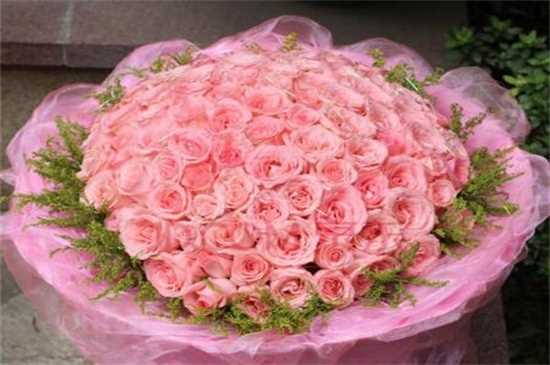 11朵戴安娜玫瑰花语，一心一意/我只属于你：11朵戴安娜玫瑰的花语 不同数量戴安娜玫瑰代表着不同的花语