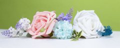 白色玫瑰花花语是什么？ 白玫瑰花的花语和象征