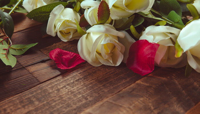 雪山玫瑰的花语和寓意 雪山玫瑰有什么花语