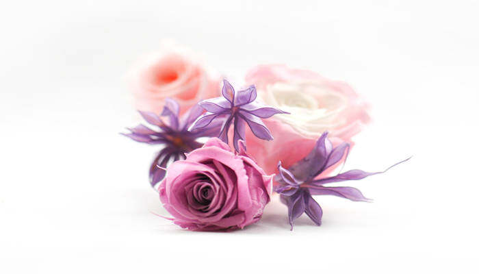紫色的花语与象征 紫色花的花语和寓意
