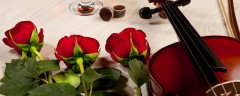 8朵红玫瑰花语及寓意 红玫瑰象征着什么