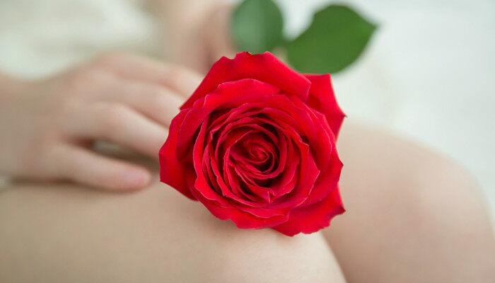 摄图网_500362764_banner_一朵红色玫瑰放在年轻女性的双腿上（企业商用）_2.jpg