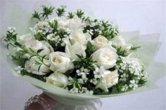 白玫瑰19朵代表什么，对爱的忍耐期待/一生一世只爱你：白玫瑰19朵的花语 白玫