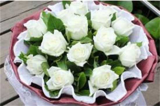 白玫瑰19朵代表什么，对爱的忍耐期待/一生一世只爱你：白玫瑰19朵的花语 白玫瑰的传说