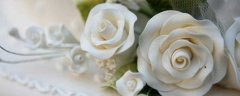 白玫瑰花语：白玫瑰的花语：天真浪漫 纯纯的爱