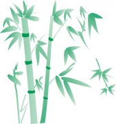 竹子的花语和象征意义是什么？