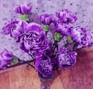 紫色康乃馨代表什么，紫色康乃馨花语代表什么(任性变幻莫测)