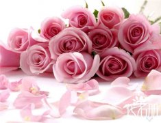 16朵粉玫瑰花语是什么，永不分离