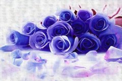 紫色玫瑰花语 紫色玫瑰图片有哪些？