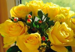 16朵黄玫瑰什么意思 16朵黄玫瑰花语有哪些？