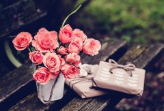 红玫瑰花语和传说有哪些？