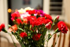 红色的康乃馨的寓意及花语介绍有哪些？