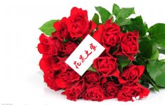 红玫瑰花语，红玫瑰朵数花语有哪些？