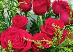 25朵玫瑰花花语代表什么意思？
