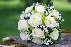 白玫瑰的花语是什么，送白玫瑰花的含义