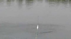 四月钓鱼的技巧及方法