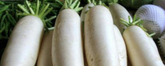 该怎么栽培白萝卜，有什么技术，怎么样高效种植白萝卜