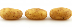 土豆种子多少钱一斤？附种植方法
