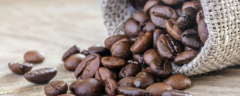 咖啡豆种植的方法，注意病虫害防治