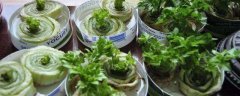 盆栽蔬菜怎么种，附盆栽蔬菜的种植条件和病虫管理
