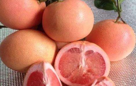 柚子的有哪些品种