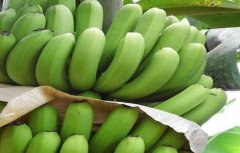 香蕉贮存与催熟技术