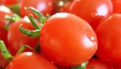 樱桃番茄和圣女果的区别 樱桃番茄种植技术要点