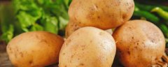 发芽马铃薯中的有毒物质是什么