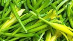 怎样栽培金针菜，金针菜种植方法