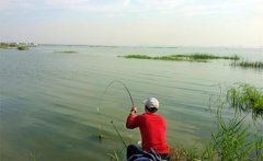 野钓中提升鱼获的4个技巧