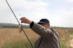 在水草区域钓鱼时的3个作钓技巧，以及需注意相关事项