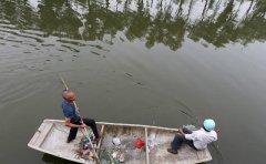 垂钓鲢鳙的这一天机，被养鱼十年的农户泄露