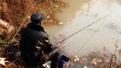 秋冬钓鱼选鱼线，并不是越细越好