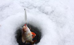 冬季垂钓的核心技巧，无外乎饵料·钓法和钓具这三方面