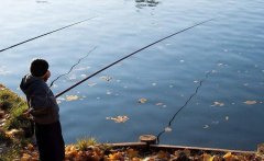 秋冬用蚯蚓钓鱼的技巧方法