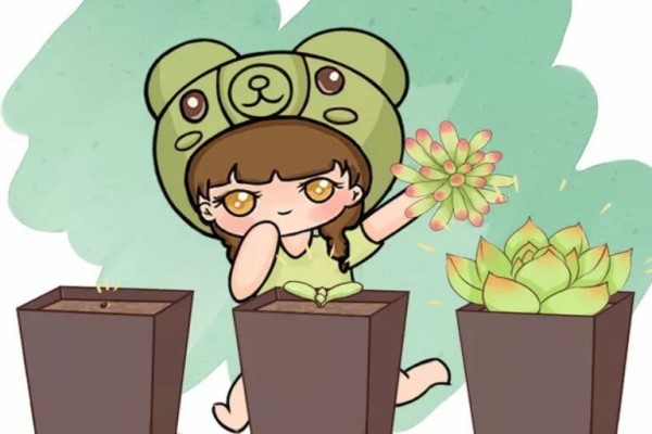 家里有这花,选对品种再扦插,才能100%活! 家里有这花,选对品种再扦插,才能100%活!