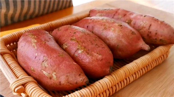 红薯是地瓜吗