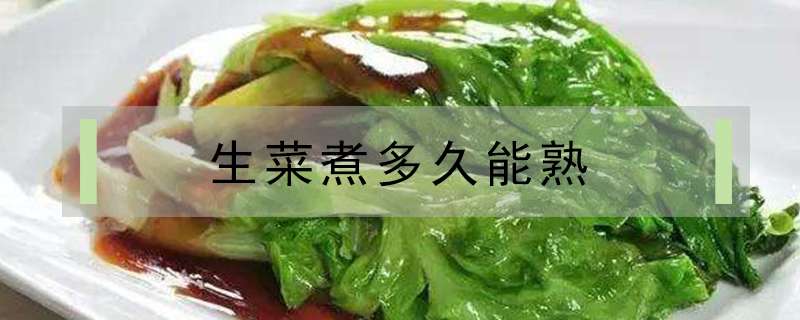 生菜煮多久能熟