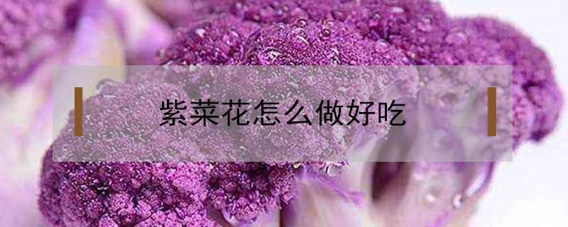 紫菜花怎么做好吃