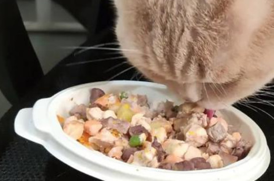 猫食怎么做